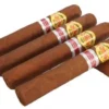 Diplomaticos Cigar Ammunition 2018 – Box of 10