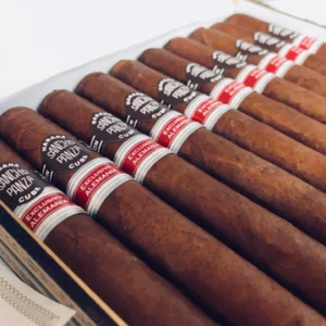 SANCHO PANZA ESCUDEROS CIGAR (EX. ALEMANIA 2011) - Box of 10