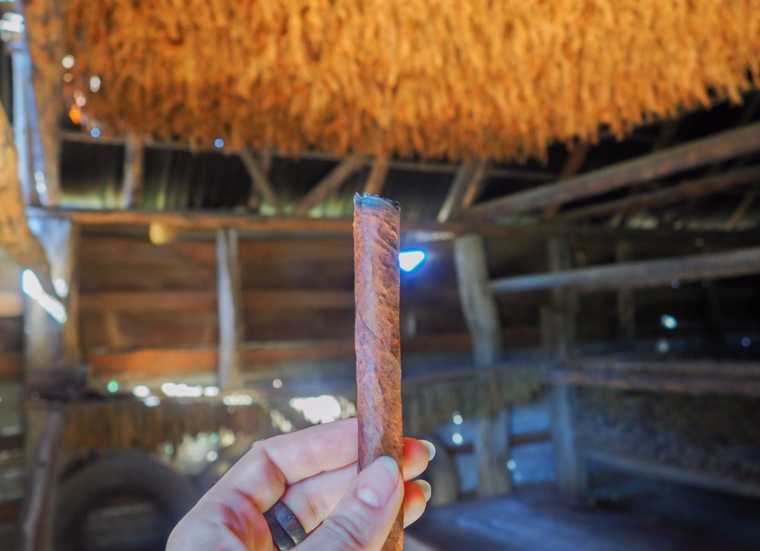 cigars 1102x800 1