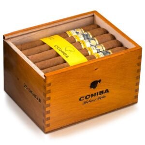 cohiba siglo ii open box 9