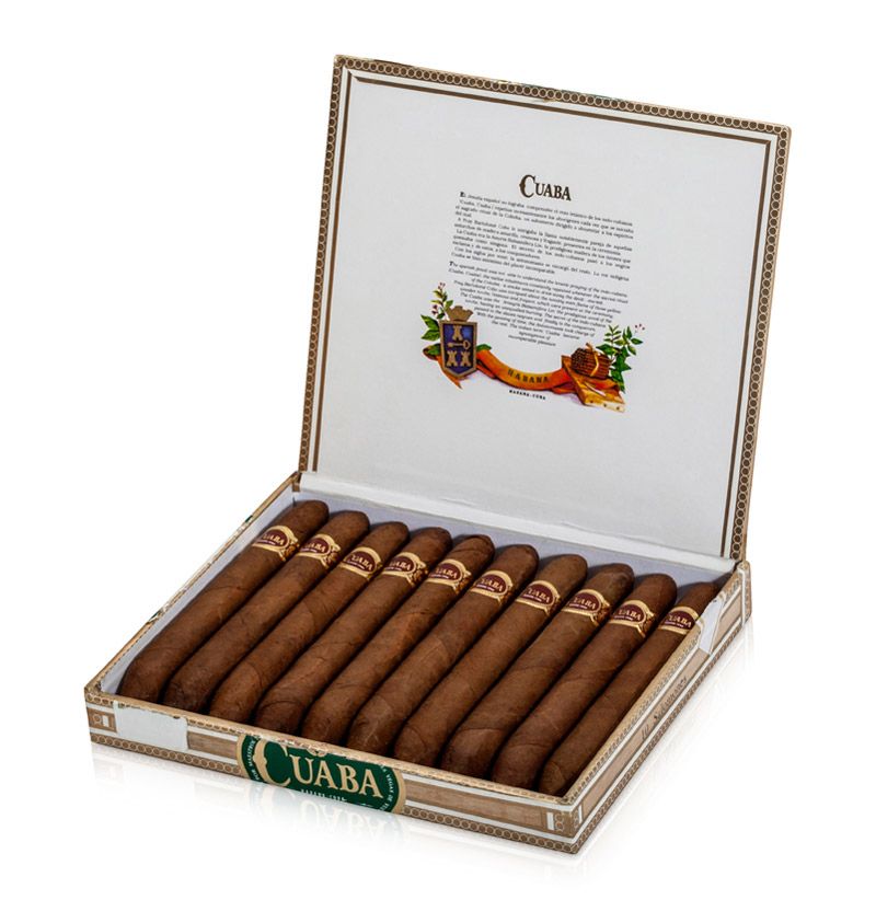 cuaba salomones 3 1 1 1 1 1 1 1 2 4 1 9