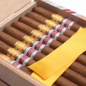 el rey del mundo la reina close up shot 480x480