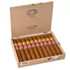 El Rey del Mundo Lepoque RE France 2020 – Box of 10
