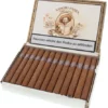 sancho non plus 480x480