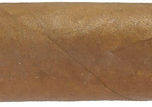 The cigar bushido diplomaticos (EX. Asia Pacifico 2014)