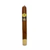 Trinidad Cabildos Premier 2024 Limited Edition