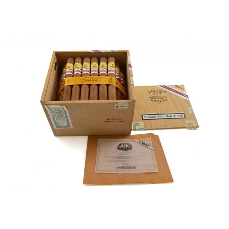 bolivar-colosales