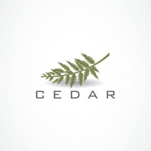 Cedar